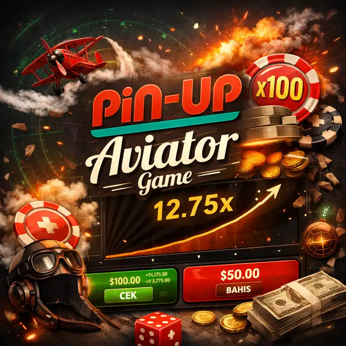 Pin Up Aviator Game
